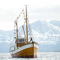 Hermes II