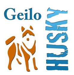 Geilo Husky AS