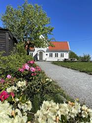 Byhaugkafeen