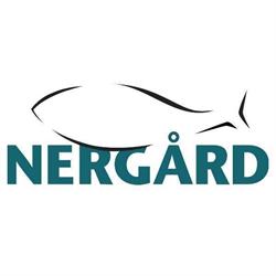 Nergård AS