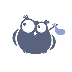 Wandering Owl