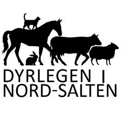 Dyrlegen i Nord-Salten AS