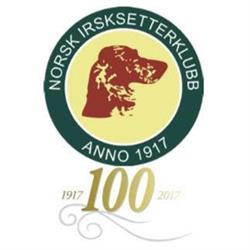 Norsk Irsksetterklubb