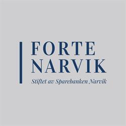 Stiftelsen Forte Narvik