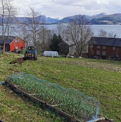 Aresvik
