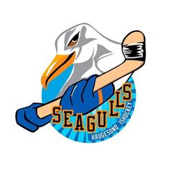 Haugesund Ishockeyklubb