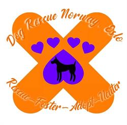 Dog Rescue Norway