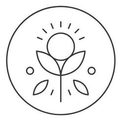 Seeds Fornebu