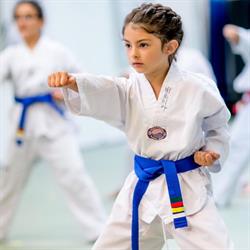 Halden Kampsport Senter