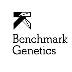 Benchmark Genetics Norway
