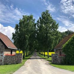 Stein gård