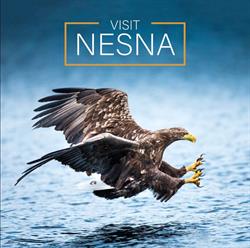 Visit Nesna AS