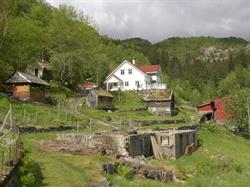 Klyvvikje
