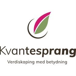 Kvantesprang AS