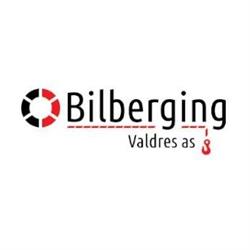 Bilberging Valdres AS