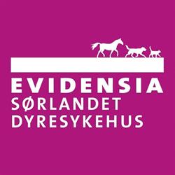 Evidensia Sørlandet Dyresykehus