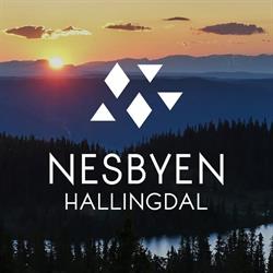 Nesbyen Turistkontor / Visit Nesbyen