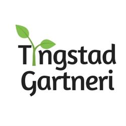 Tingstad gartneri AS