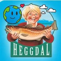 H Heggdal