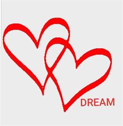 Dream selskapslokaler AS