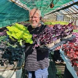 Blomster-Svein
