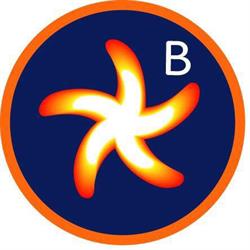Best Rørvik