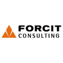 Forcit Consulting AS