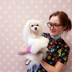 Nittedal Hundesalong av Sandra M Grzelczak (Sandra Hundefrisør)