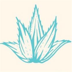 Agave Bergen