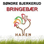Søndre Bjerkerud - Bringebær