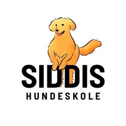 Siddis Hundeskole