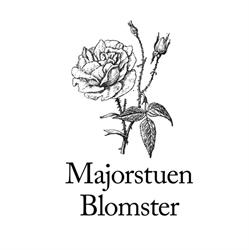 Majorstuen Blomster AS