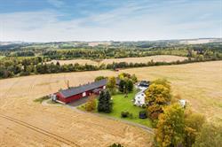 Haug Gård