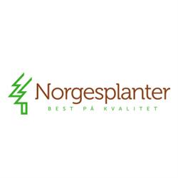 Norgesplanter AS