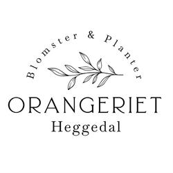 Orangeriet Heggedal