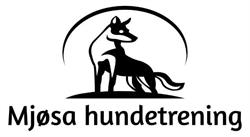 Mjøsa hundetrening