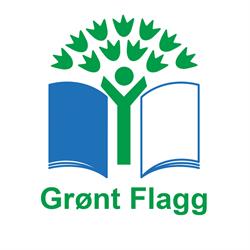 Grønt Flagg