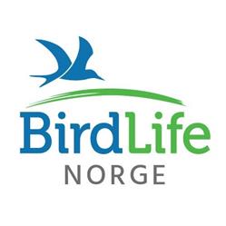 BirdLife Norge