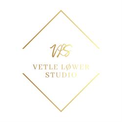 Vetle Løwer Studio