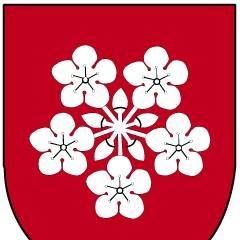 Helsestasjon i Lier