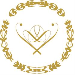 Rebirth of the Princess