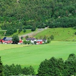 Tindemat frå Jogarden