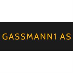 Gassmann1 AS