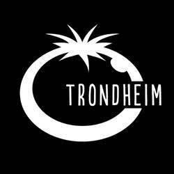 Blue Tomato Shop Trondheim