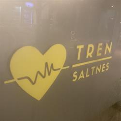 Tren Saltnes