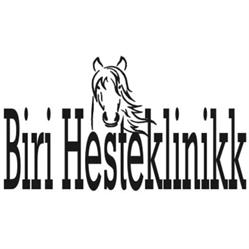 Biri Hesteklinikk