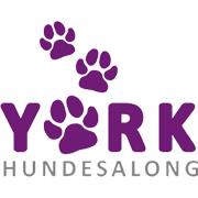 York Hundesalong