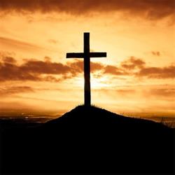 Trans Nations International Church of The Cross (Tnicc)