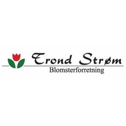 Trond Strøm Blomsterforretning Avd. Rørvik