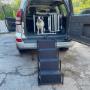 Hundetrapp bil